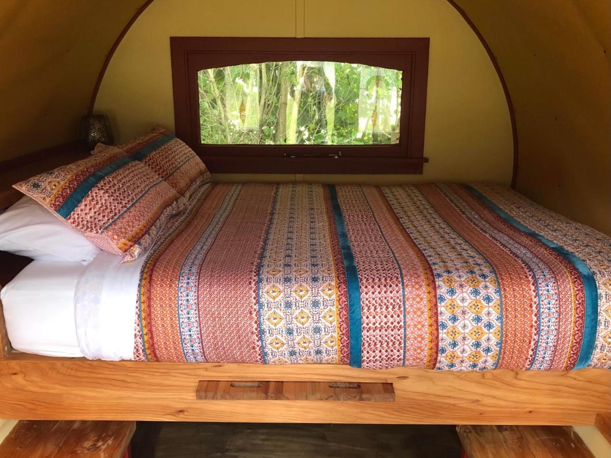 Greytown Campground Екстериор снимка