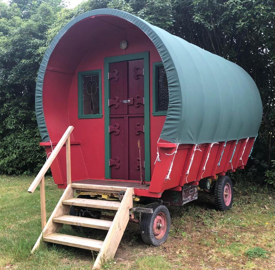 Greytown Campground Екстериор снимка
